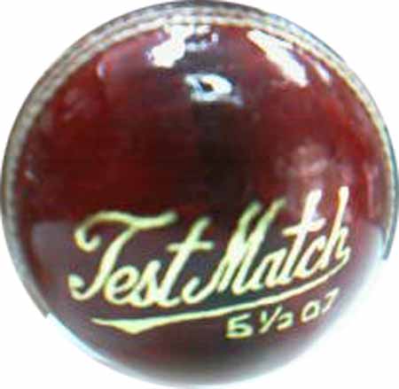 DS Test Match Ball -  1Dz