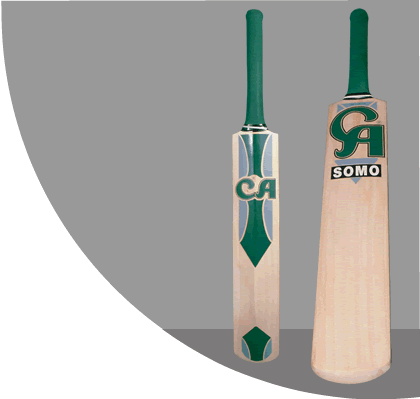 Junior English Willow Bat - Click Image to Close